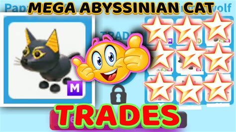mega neon abyssinian cat trades  adopt  megaabyssinian youtube