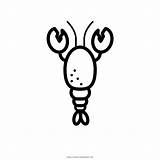 Langosta Hummer Crayfish Shrimp Ultracoloringpages sketch template