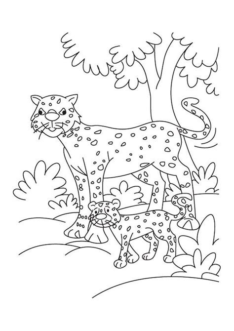 printable cheetah coloring pages cheetah coloring pictures