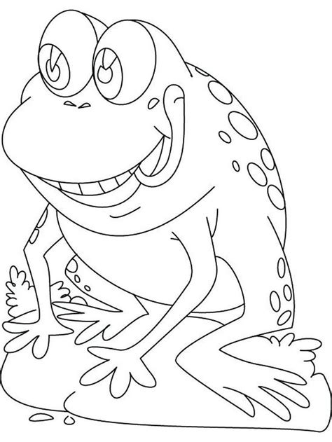 frog colouring pages    collection  frog coloring page