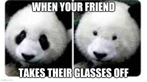 When Your Friend Takes Their Glasses Off Imgflip