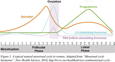 Figure 1 From Effect Of Sex Menstrual Cycle Phase And