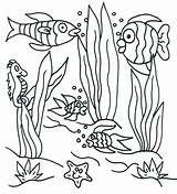 Plants Coloring Pages Getdrawings Ocean sketch template