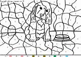 Magique Chien Coloriages Magiques Colouring Cocker Perrito Apprendre Domestique Enfants Math sketch template