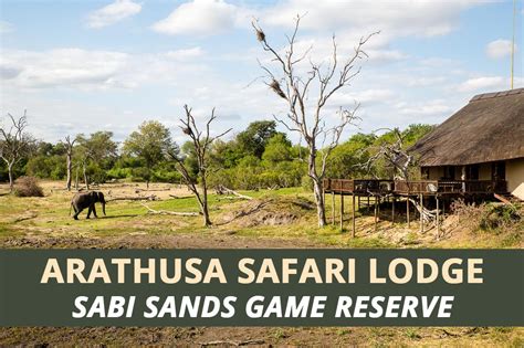 jai teste larathusa safari lodge  la sabi sands game reserve