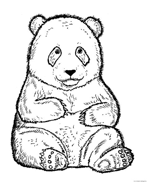 giant panda coloring page drawing ofeu