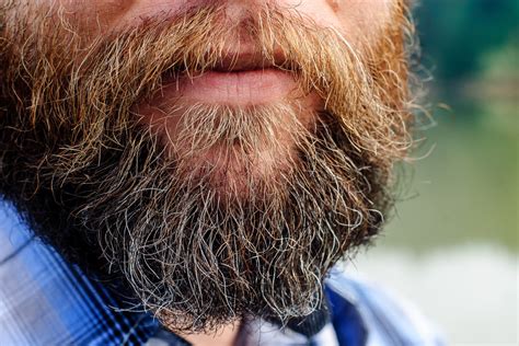 hairy hooligans    stop stereotyping bros  beards texas standard