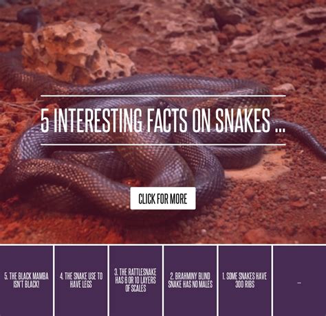interesting facts  snakes twilight