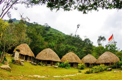 Rumah Adat Papua Nama Keunikan Dan Penjelasannya