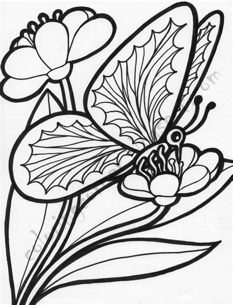 butterfly   flower coloring page coloring home