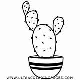 Coloring Prickly Pear Cactus Pages sketch template