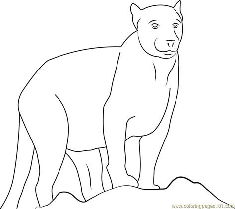 beautiful panther coloring page  kids  panther printable