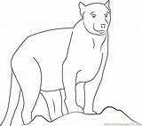Coloringpages101 Panthers sketch template