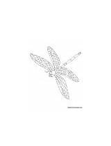 Damselfly Coloring Male Leaf sketch template