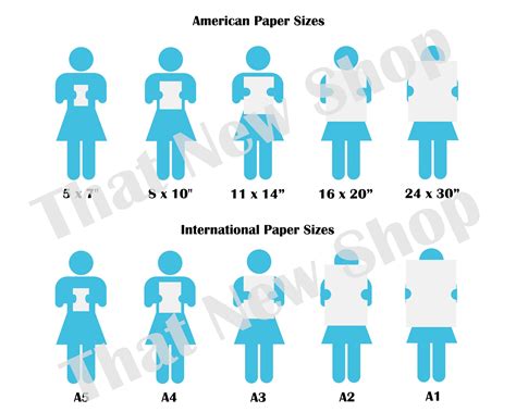 american paper sizes  shown  blue  white
