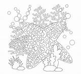 Coloring Starfish Pages Coloringtop sketch template