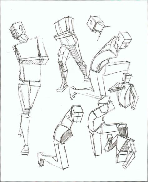 human body drawing reference  getdrawings