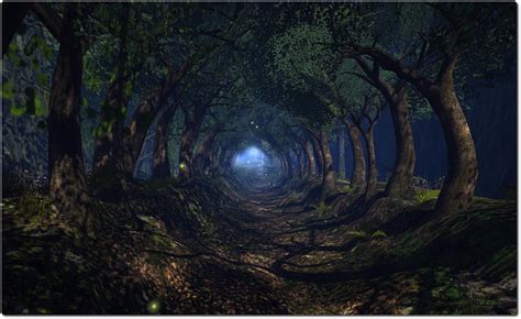 exploring  enchanted forest living   modem world