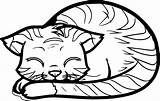 Coloring Cat Word Wecoloringpage sketch template