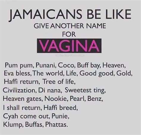 jamaicans be like give another name for vagina jamaussie