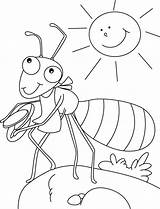 Coloring Ant Pages Kids Preschool Printable Animal Sheets Activities Bestcoloringpages Worksheets Crafts Summer Insect Insects Strongest Choose Board Ants Boyama sketch template