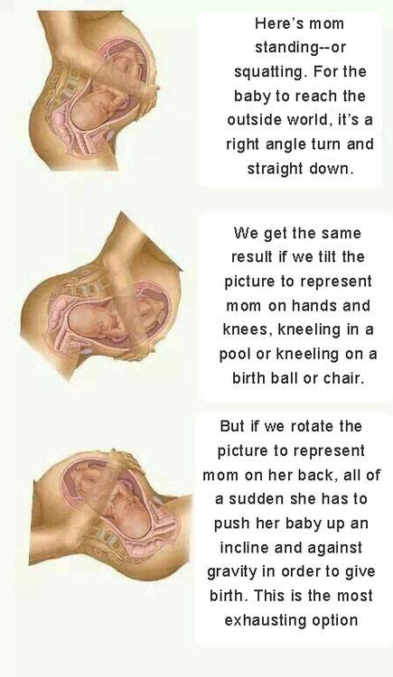what s the best position to give birth in birth pinterest birth what s and pregnancy
