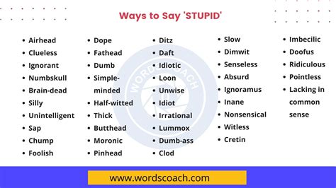 ways   stupid  english word coach