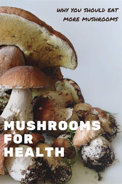 Mushrooms For Health And Aphrodisiac Benefits Eat