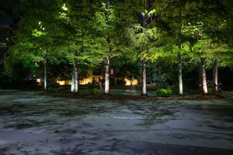 moonlighting   arboretum landscape lighting architectural