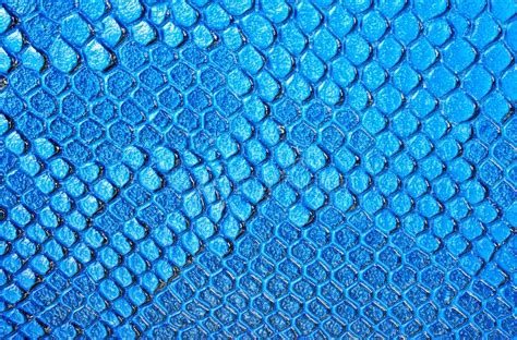 blue snake skin background stock photo image  detail