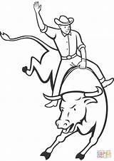 Bull Rodeo Coloring Pages Riding Bucking Drawing Drawings Printable Horse Ferdinand Cowboy Clipart Roping Pbr Color Team Print Getcolorings Getdrawings sketch template