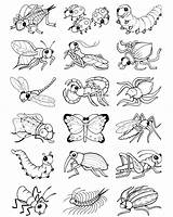 Color Bugs Pages Coloring Bug Insects Insect Colouring Kids Sheets Stickers Doverpublications Own Animals Dover Publications Animal Welcome Preschool Drawings sketch template