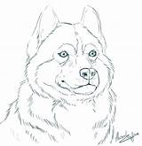 Coloring Pages Akita Getcolorings Valuable Color sketch template