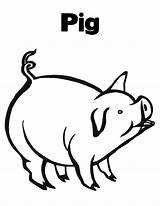 Pig Peppa Pages Coloring Color Printable Kids sketch template