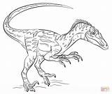 Velociraptor Coloring Pages Jurassic Template sketch template