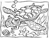 Coloring Pages Underwater Scene Ocean Animal Popular sketch template
