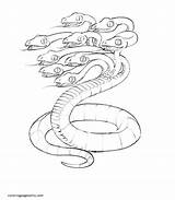 Hydra sketch template