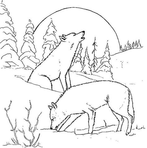 wolf drawing howling  getdrawings