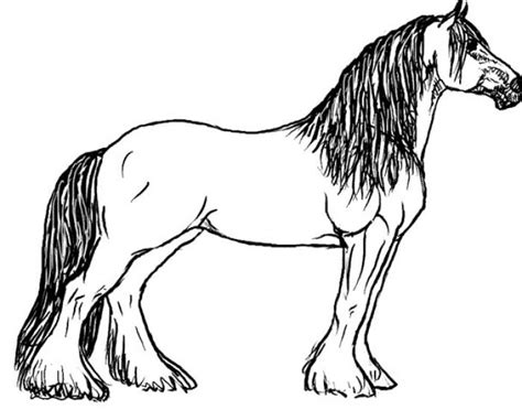 printable coloring pages  horses