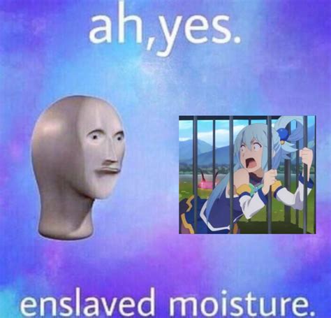 aqua enslaved moisture   meme
