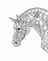Coloring Pages Horses Adults Getcolorings Horse sketch template