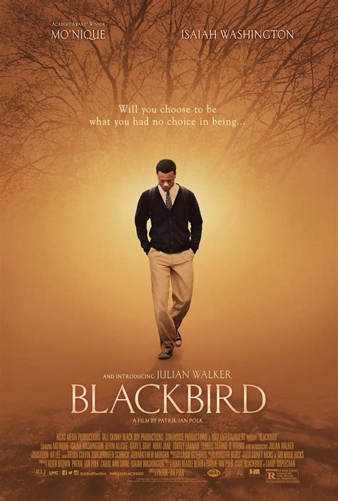 blackbird   film    black netflix code switch npr