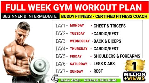 full week gym workout plan  muscle gain beginners intermediate  weightblink