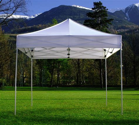 haves  setting   custom canopy tent  trade shows