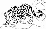 Dragoart Jaguars sketch template