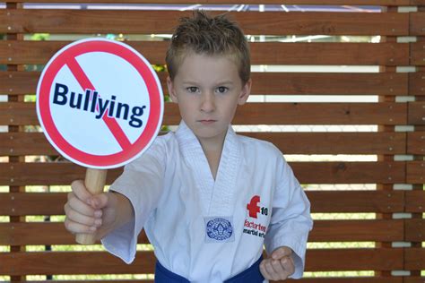 anti bullying education  parents factor martial arts