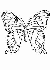 Borboleta Papillon Pintar Coloriage Recortar sketch template
