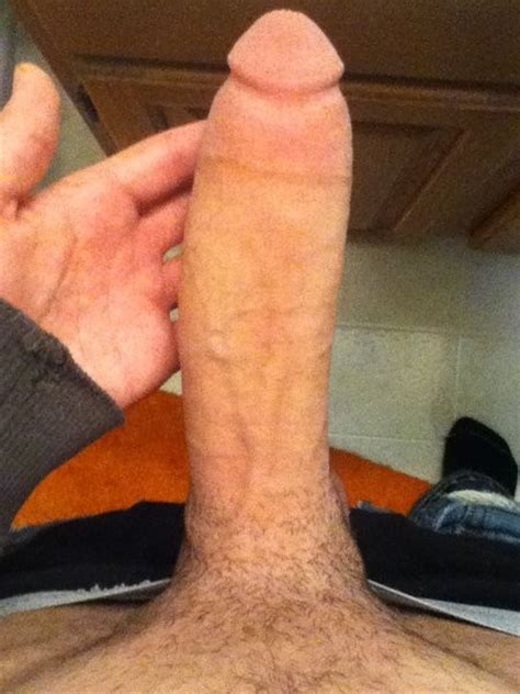tumblr m959w6cx8r1qfc2yoo4 500 in gallery my big white dick picture 1 uploaded by shaq3445
