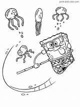 Squarepants Esponja Jellyfish Medusas Atrapando sketch template