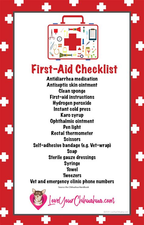 Chihuahua First Aid Checklist In 2023 Preventive Medicine First Aid